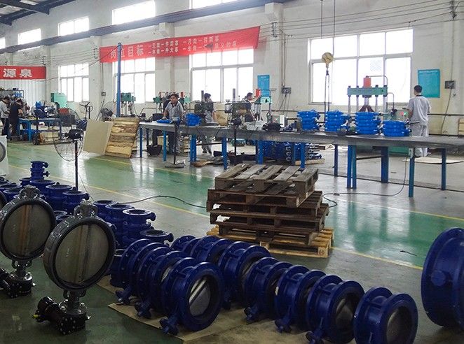 Features of centerline butterfly valve