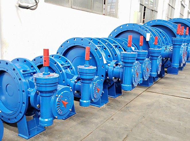 Why called butterfly for butterfly valve?